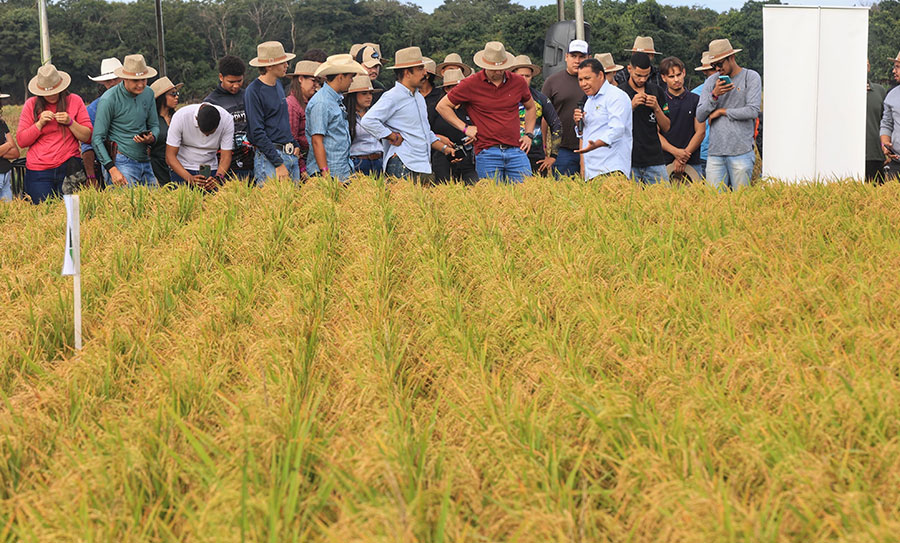 Dia de Campo do Senar Goiás na Embrapa qualifica mais de mil estudantes